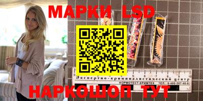 a pvp Заводоуковск