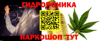 индика Изобильный