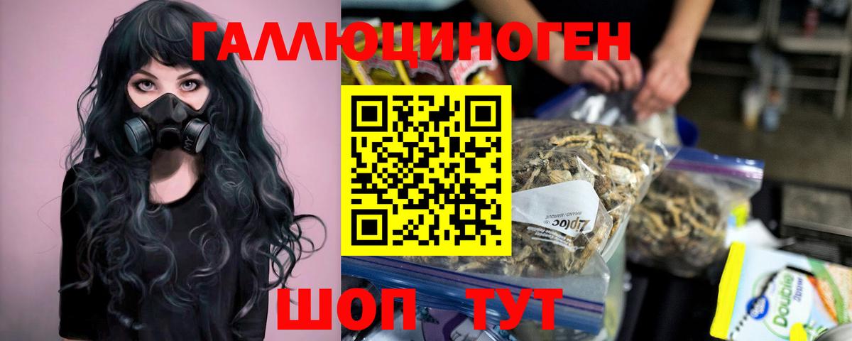 Псилоцибиновые грибы мицелий  Вход с VPN  Тавда 
